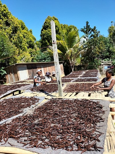 Producteur & préparateur de Vanille de Madagascar