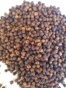 100 gr de poivre rouge Kampot Qualité : grains rouge Fabricant : Malagasy-France-Vanille Marque : MFV Origine : Cambodge Prix : 13.00 euros