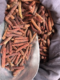 100 gr de poivre rouge long Kampot Qualité : entier rouge Fabricant : Malagasy-France-Vanille Marque : MFV Origine : Cambodge Prix : 13.00 euros