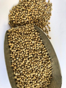 100 gr de poivre blanc Kampot Qualité : grains blanc Fabricant : Malagasy-France-Vanille Marque : MFV Origine : Cambodge Prix : 13.00 euros