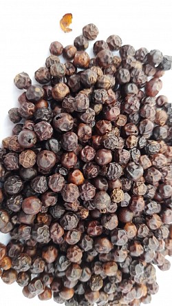 100 gr de poivre rouge phu-qioc Qualité : grains rouge Fabricant : Malagasy-France-Vanille Marque : MFV Origine : Vietnam Prix : 9.90 euros