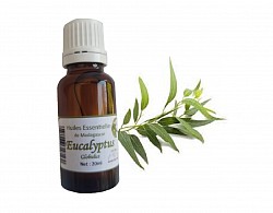 20 ml de huile essentielle de Eucalyptus globulus Qualité : naturel Fabricant : Malagasy-France-Vanille Marque : MFV Origine : Madagascar Prix : 5.90 euros